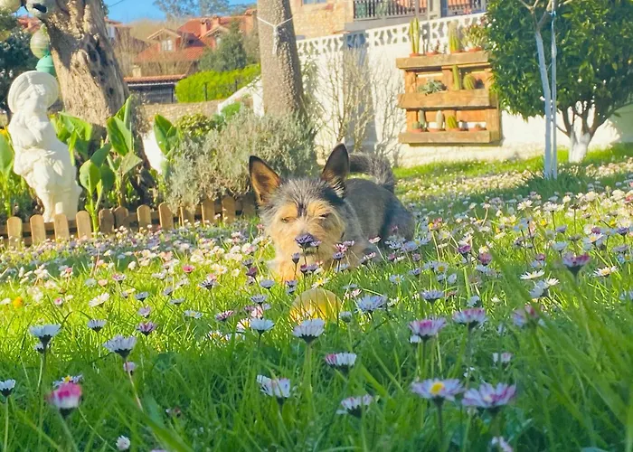 Apartment La Torrevia Santillana del Mar