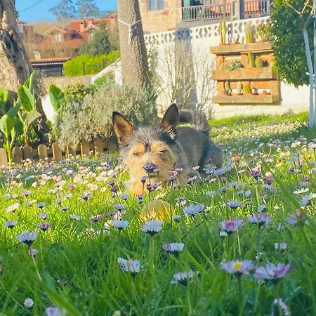 Апартаменты La Torrevia Сантильяна-дель-Мар